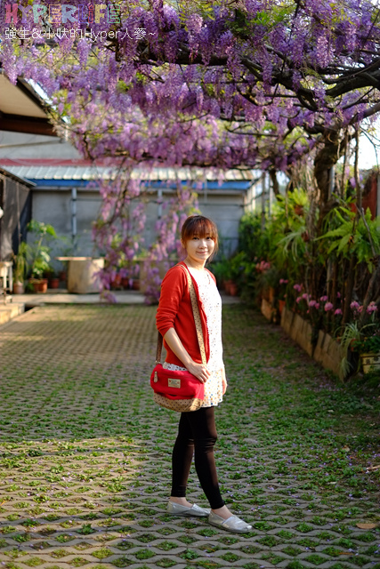 │剪胖記錄│泡芙小吠3個半月成功鏟肉5KG,立馬從隔壁大嬸變身鄰家偽少女!! @強生與小吠的Hyper人蔘~ 剪胖甩油變正妹 (63).jpg