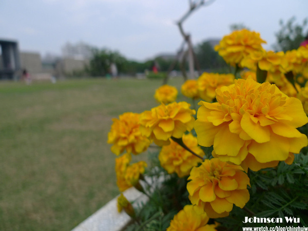 LX3 – 陰天國美館試拍 @強生與小吠的Hyper人蔘~ LX3 – 陰天國美館試拍