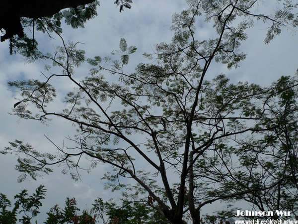 LX3 – 陰天國美館試拍 @強生與小吠的Hyper人蔘~ LX3 – 陰天國美館試拍