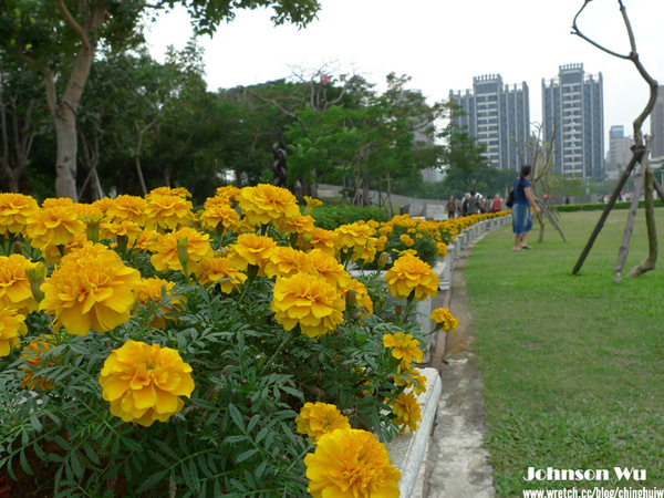 LX3 – 陰天國美館試拍 @強生與小吠的Hyper人蔘~ LX3 – 陰天國美館試拍