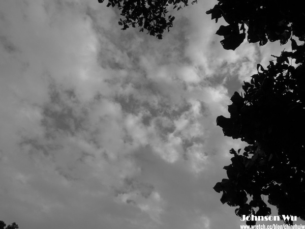 LX3 – 陰天國美館試拍 @強生與小吠的Hyper人蔘~ LX3 – 陰天國美館試拍