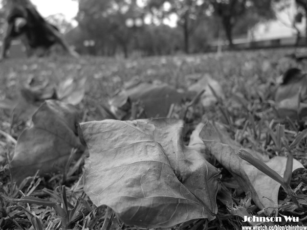 LX3 – 陰天國美館試拍 @強生與小吠的Hyper人蔘~ LX3 – 陰天國美館試拍