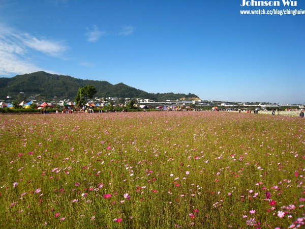 Canon 850is 眼花撩亂之 – 台中新社花海節 @強生與小吠的Hyper人蔘~ Canon 850is 眼花撩亂之 – 台中新社花海節