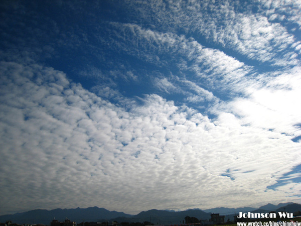 Canon 850is 眼花撩亂之 – 台中新社花海節 @強生與小吠的Hyper人蔘~ Canon 850is 眼花撩亂之 – 台中新社花海節