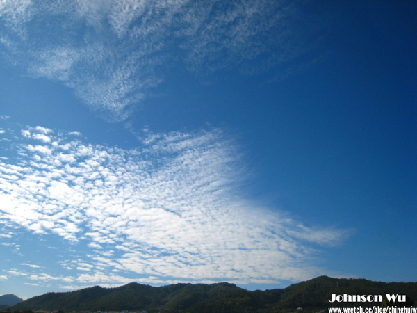 Canon 850is 眼花撩亂之 – 台中新社花海節 @強生與小吠的Hyper人蔘~ Canon 850is 眼花撩亂之 – 台中新社花海節