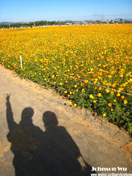 Canon 850is 眼花撩亂之 – 台中新社花海節 @強生與小吠的Hyper人蔘~ Canon 850is 眼花撩亂之 – 台中新社花海節