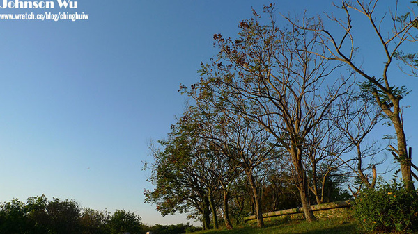 LX3 – 台中都會公園 @強生與小吠的Hyper人蔘~ LX3 – 台中都會公園