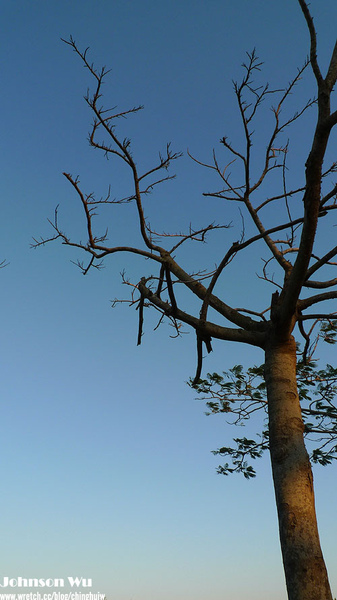 LX3 – 台中都會公園 @強生與小吠的Hyper人蔘~ LX3 – 台中都會公園