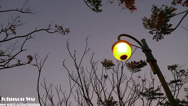 LX3 – 台中都會公園 @強生與小吠的Hyper人蔘~ LX3 – 台中都會公園