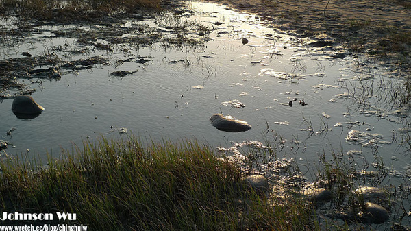 LX3 – 重遊台中縣清水- 高美溼地 @強生與小吠的Hyper人蔘~ LX3 – 重遊台中縣清水- 高美溼地