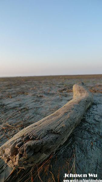 LX3 – 重遊台中縣清水- 高美溼地 @強生與小吠的Hyper人蔘~ LX3 – 重遊台中縣清水- 高美溼地