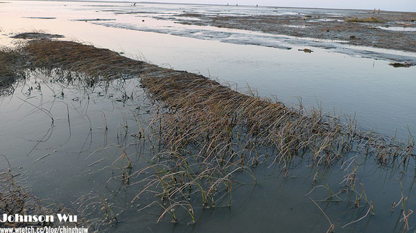 LX3 – 重遊台中縣清水- 高美溼地 @強生與小吠的Hyper人蔘~ LX3 – 重遊台中縣清水- 高美溼地