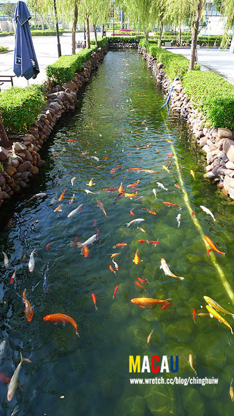 澳門 – 漁人碼頭 @強生與小吠的Hyper人蔘~ 澳門 – 漁人碼頭