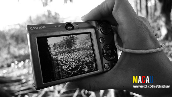 澳門 – 澳門博物館 + 大三巴 + 議事亭前地 @強生與小吠的Hyper人蔘~ 澳門 – 澳門博物館 + 大三巴 + 議事亭前地