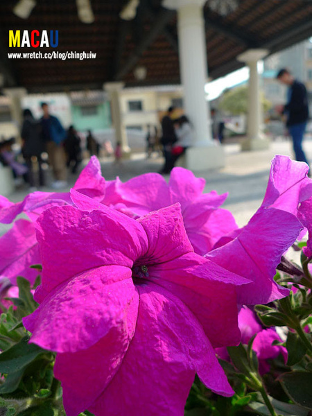 澳門 – 主教山小堂、 旅遊塔 、嘉模聖母堂、龍環葡韻住宅博物館 @強生與小吠的Hyper人蔘~ 澳門 – 主教山小堂、 旅遊塔 、嘉模聖母堂、龍環葡韻住宅博物館