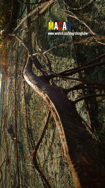 澳門 – 主教山小堂、 旅遊塔 、嘉模聖母堂、龍環葡韻住宅博物館 @強生與小吠的Hyper人蔘~ 澳門 – 主教山小堂、 旅遊塔 、嘉模聖母堂、龍環葡韻住宅博物館