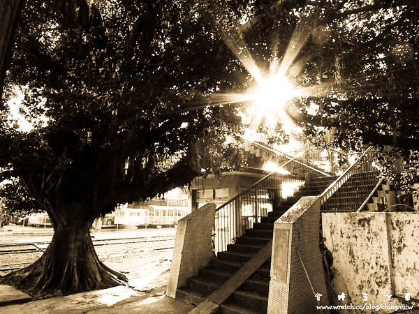 LX3 – 台南縣新營市: 台糖五分車 @強生與小吠的Hyper人蔘~ LX3 – 台南縣新營市: 台糖五分車