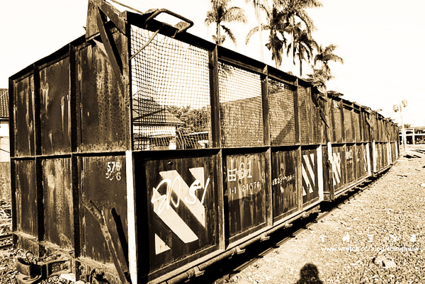 LX3 – 台南縣新營市: 台糖五分車 @強生與小吠的Hyper人蔘~ LX3 – 台南縣新營市: 台糖五分車