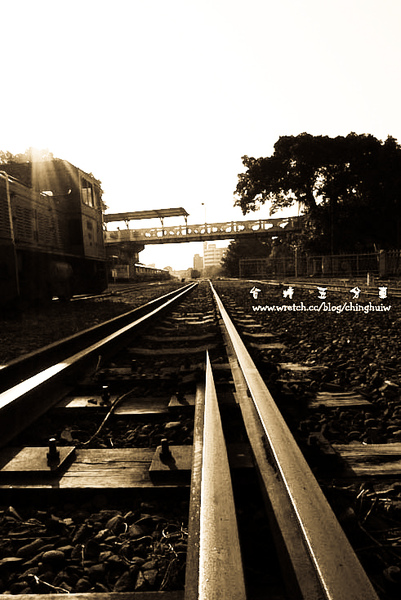 LX3 – 台南縣新營市: 台糖五分車 @強生與小吠的Hyper人蔘~ LX3 – 台南縣新營市: 台糖五分車