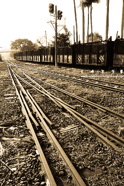 LX3 – 台南縣新營市: 台糖五分車 @強生與小吠的Hyper人蔘~ LX3 – 台南縣新營市: 台糖五分車