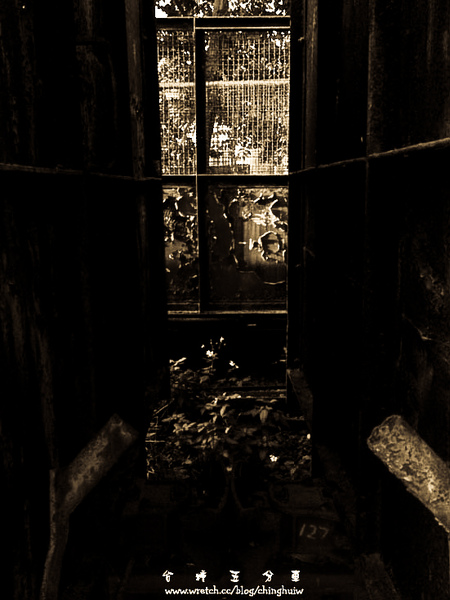 LX3 – 台南縣新營市: 台糖五分車 @強生與小吠的Hyper人蔘~ LX3 – 台南縣新營市: 台糖五分車