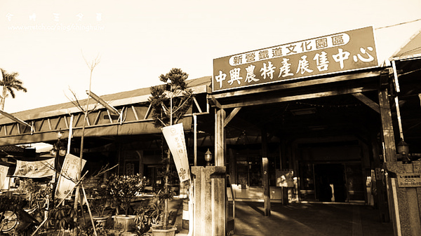 LX3 – 台南縣新營市: 台糖五分車 @強生與小吠的Hyper人蔘~ LX3 – 台南縣新營市: 台糖五分車