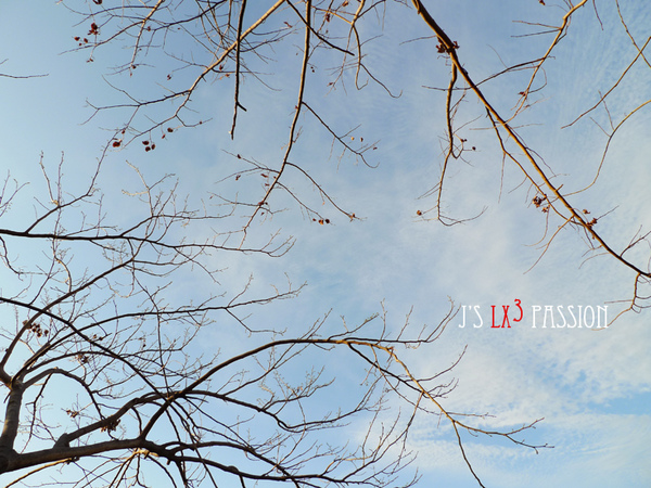 LX3 snapshots – 20號倉庫 @強生與小吠的Hyper人蔘~ LX3 snapshots – 20號倉庫