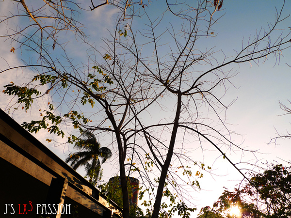 LX3 snapshots – 20號倉庫 @強生與小吠的Hyper人蔘~ LX3 snapshots – 20號倉庫