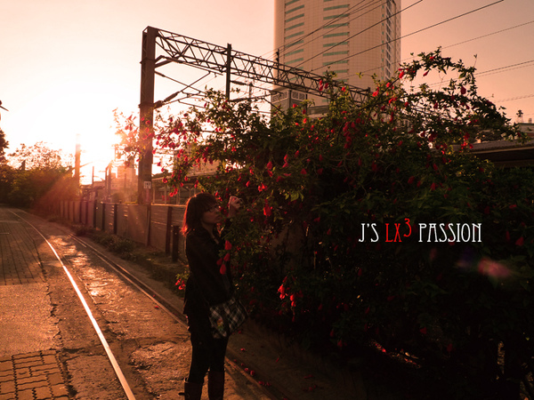 LX3 snapshots – 20號倉庫 @強生與小吠的Hyper人蔘~ LX3 snapshots – 20號倉庫