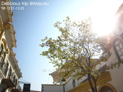 ├ 澳門文化美食之旅 ┤超豐富走拍景點‧漁人碼頭 @強生與小吠的Hyper人蔘~ ├ 澳門文化美食之旅 ┤超豐富走拍景點‧漁人碼頭