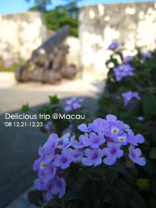 ├ 澳門文化美食之旅 ┤誤打誤撞的大炮台&澳門博物館 @強生與小吠的Hyper人蔘~ ├ 澳門文化美食之旅 ┤誤打誤撞的大炮台&澳門博物館