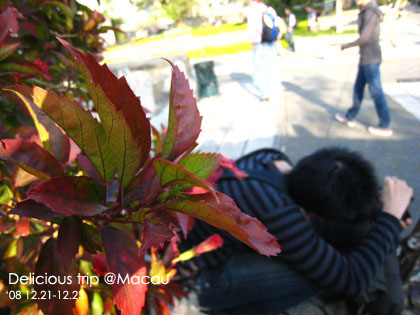 ├ 澳門文化美食之旅 ┤誤打誤撞的大炮台&澳門博物館 @強生與小吠的Hyper人蔘~ ├ 澳門文化美食之旅 ┤誤打誤撞的大炮台&澳門博物館