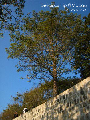 ├ 澳門文化美食之旅 ┤誤打誤撞的大炮台&澳門博物館 @強生與小吠的Hyper人蔘~ ├ 澳門文化美食之旅 ┤誤打誤撞的大炮台&澳門博物館