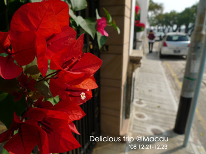 ├ 澳門文化美食之旅 ┤走到腿軟的主教山教堂+旅遊塔 @強生與小吠的Hyper人蔘~ ├ 澳門文化美食之旅 ┤走到腿軟的主教山教堂+旅遊塔