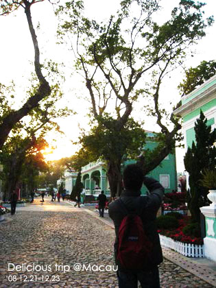 ├ 澳門文化美食之旅 ┤葡韻住宅博物館&令人發冏的….. @強生與小吠的Hyper人蔘~ ├ 澳門文化美食之旅 ┤葡韻住宅博物館&令人發冏的…..