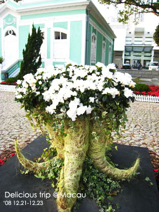 ├ 澳門文化美食之旅 ┤葡韻住宅博物館&令人發冏的….. @強生與小吠的Hyper人蔘~ ├ 澳門文化美食之旅 ┤葡韻住宅博物館&令人發冏的…..