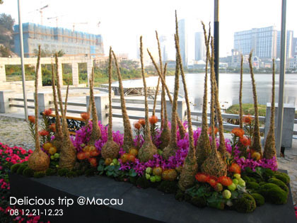 ├ 澳門文化美食之旅 ┤葡韻住宅博物館&令人發冏的….. @強生與小吠的Hyper人蔘~ ├ 澳門文化美食之旅 ┤葡韻住宅博物館&令人發冏的…..