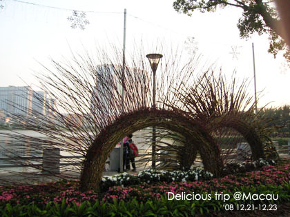 ├ 澳門文化美食之旅 ┤葡韻住宅博物館&令人發冏的….. @強生與小吠的Hyper人蔘~ ├ 澳門文化美食之旅 ┤葡韻住宅博物館&令人發冏的…..