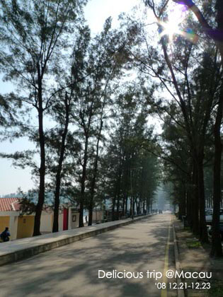 ├ 澳門文化美食之旅 ┤冷吱吱的黑沙沙灘 @強生與小吠的Hyper人蔘~ ├ 澳門文化美食之旅 ┤冷吱吱的黑沙沙灘