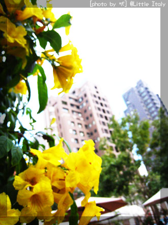 一整個吃不飽‧小義大利莊園 @強生與小吠的Hyper人蔘~ 一整個吃不飽‧小義大利莊園