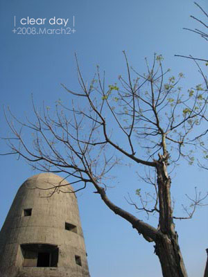 │Clear Day│是個大好晴天。 @強生與小吠的Hyper人蔘~ │Clear Day│是個大好晴天。