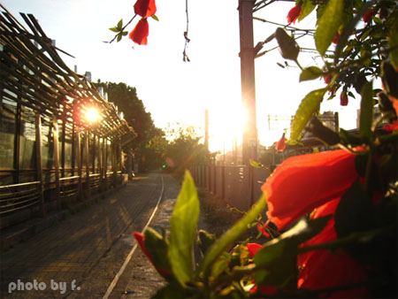 相遇片段。20號倉庫 @強生與小吠的Hyper人蔘~ 相遇片段。20號倉庫