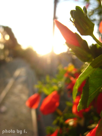 相遇片段。20號倉庫 @強生與小吠的Hyper人蔘~ 相遇片段。20號倉庫