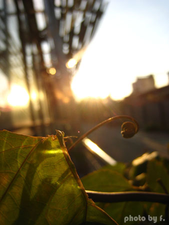 相遇片段。20號倉庫 @強生與小吠的Hyper人蔘~ 相遇片段。20號倉庫