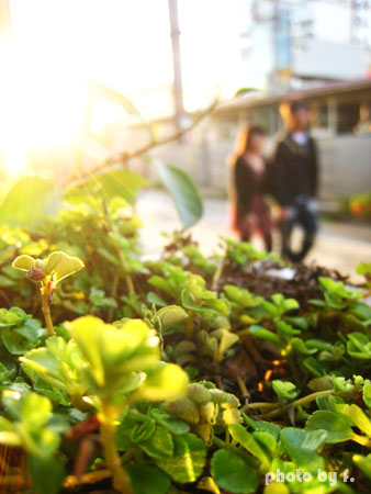 相遇片段。20號倉庫 @強生與小吠的Hyper人蔘~ 相遇片段。20號倉庫