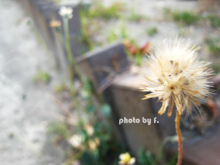 相遇片段。20號倉庫 @強生與小吠的Hyper人蔘~ 相遇片段。20號倉庫