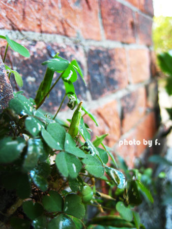 相遇片段。20號倉庫 @強生與小吠的Hyper人蔘~ 相遇片段。20號倉庫