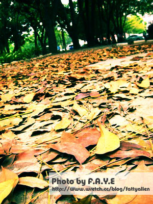 NCHU。隨走隨拍 @強生與小吠的Hyper人蔘~ NCHU。隨走隨拍