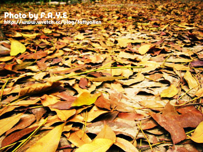 NCHU。隨走隨拍 @強生與小吠的Hyper人蔘~ NCHU。隨走隨拍