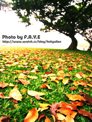 NCHU。隨走隨拍 @強生與小吠的Hyper人蔘~ NCHU。隨走隨拍